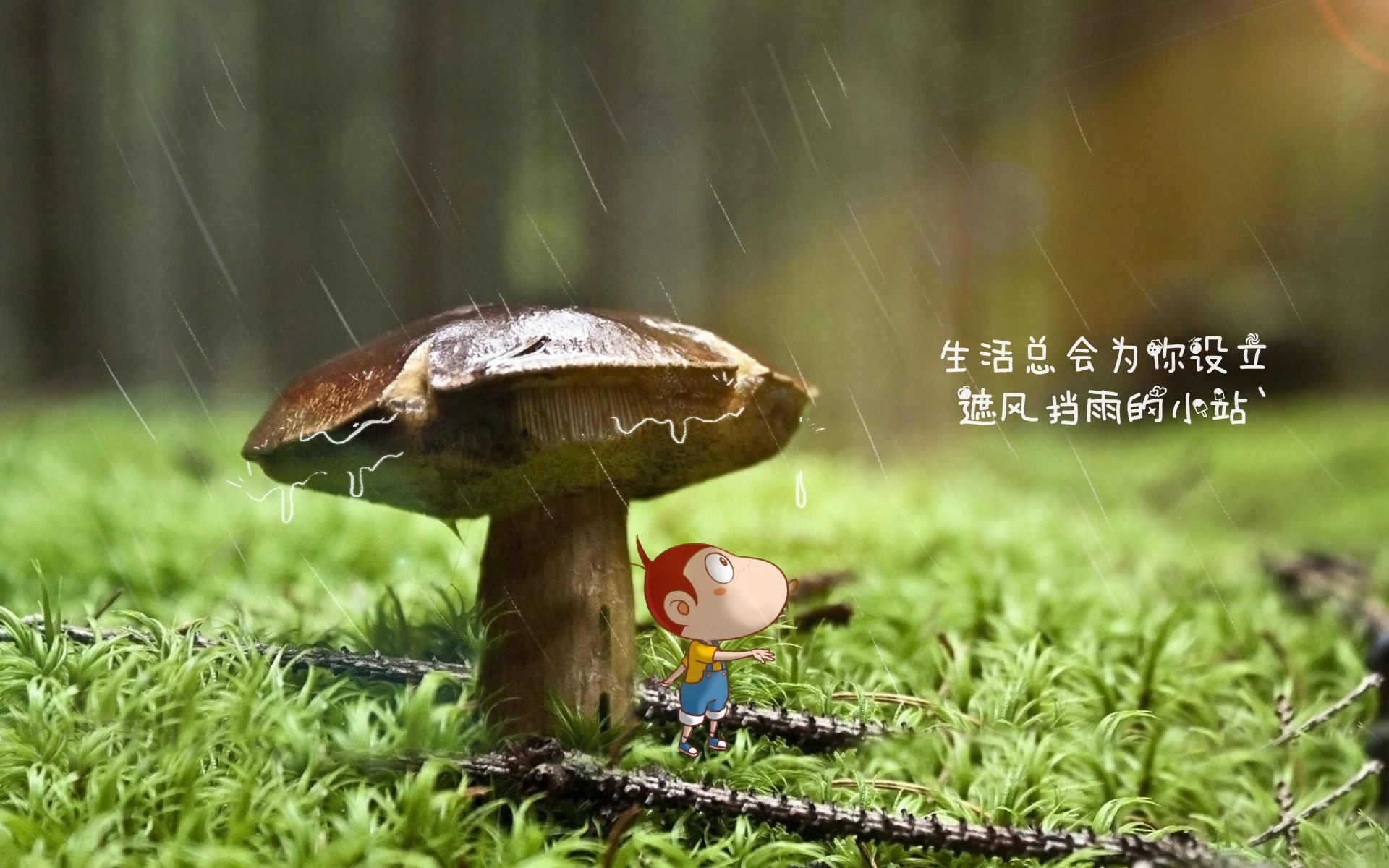 爱游戏电竞-摩洛哥队中场球员进球助球队获胜,摩洛哥球队阵容