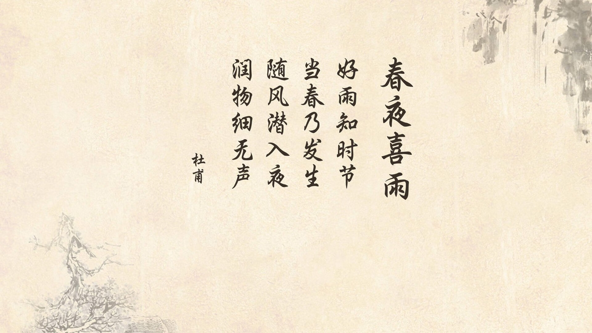 森林狼球队攻防节奏更加协调，森林狼球队标志