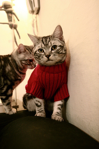 文化交流:足球成为东西方文化交流的桥梁,足球文化的绘画作品