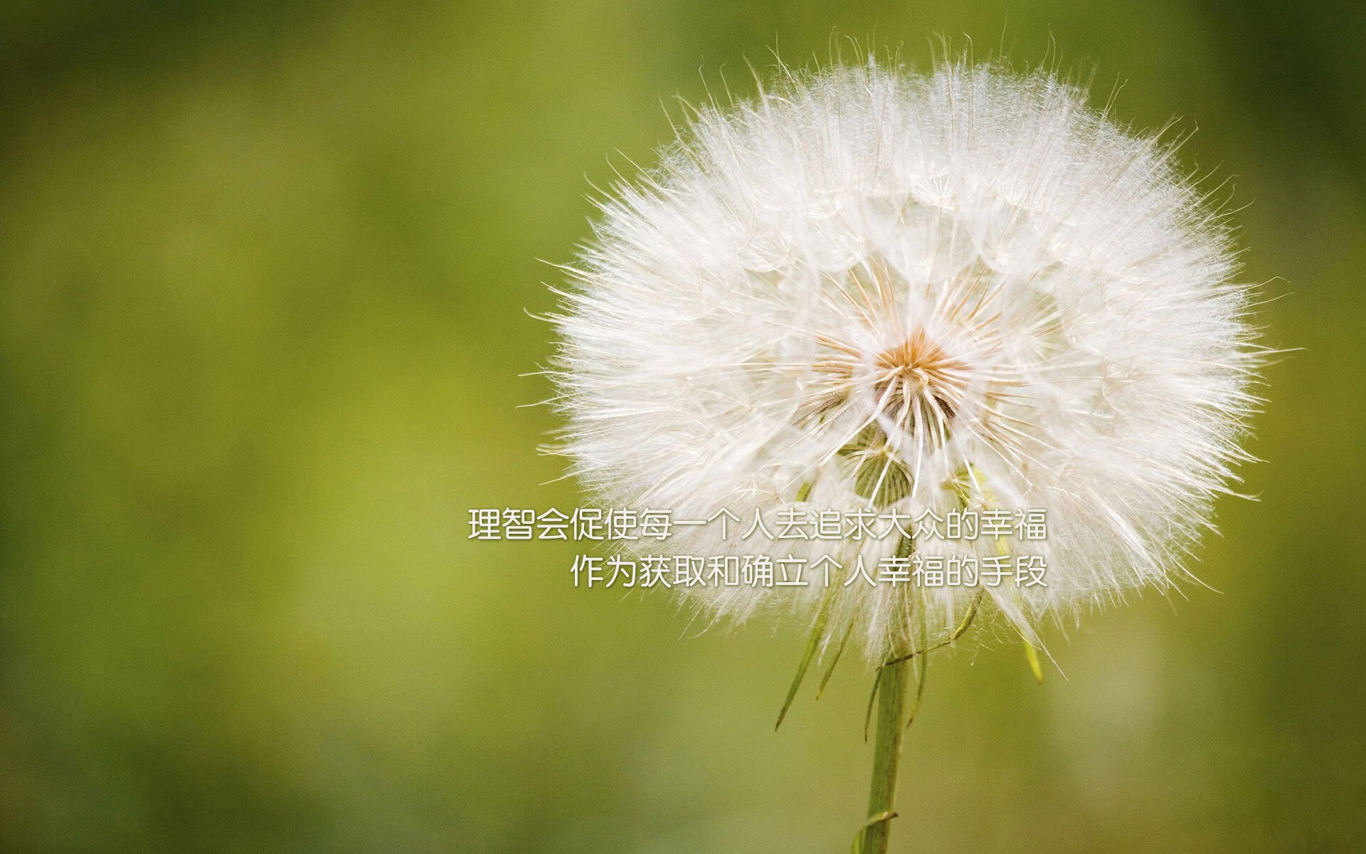 高校运动训练动态管理机制研究，运动训练过程调控与参赛指导