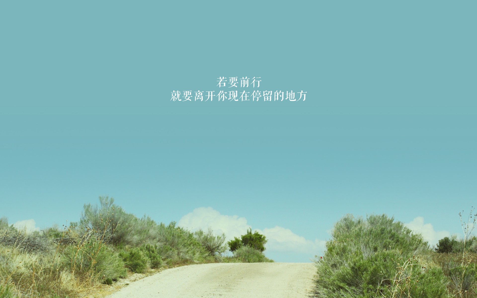 凯蒂·莱德基保持领先优势锁定冠军，凯蒂芬得莱