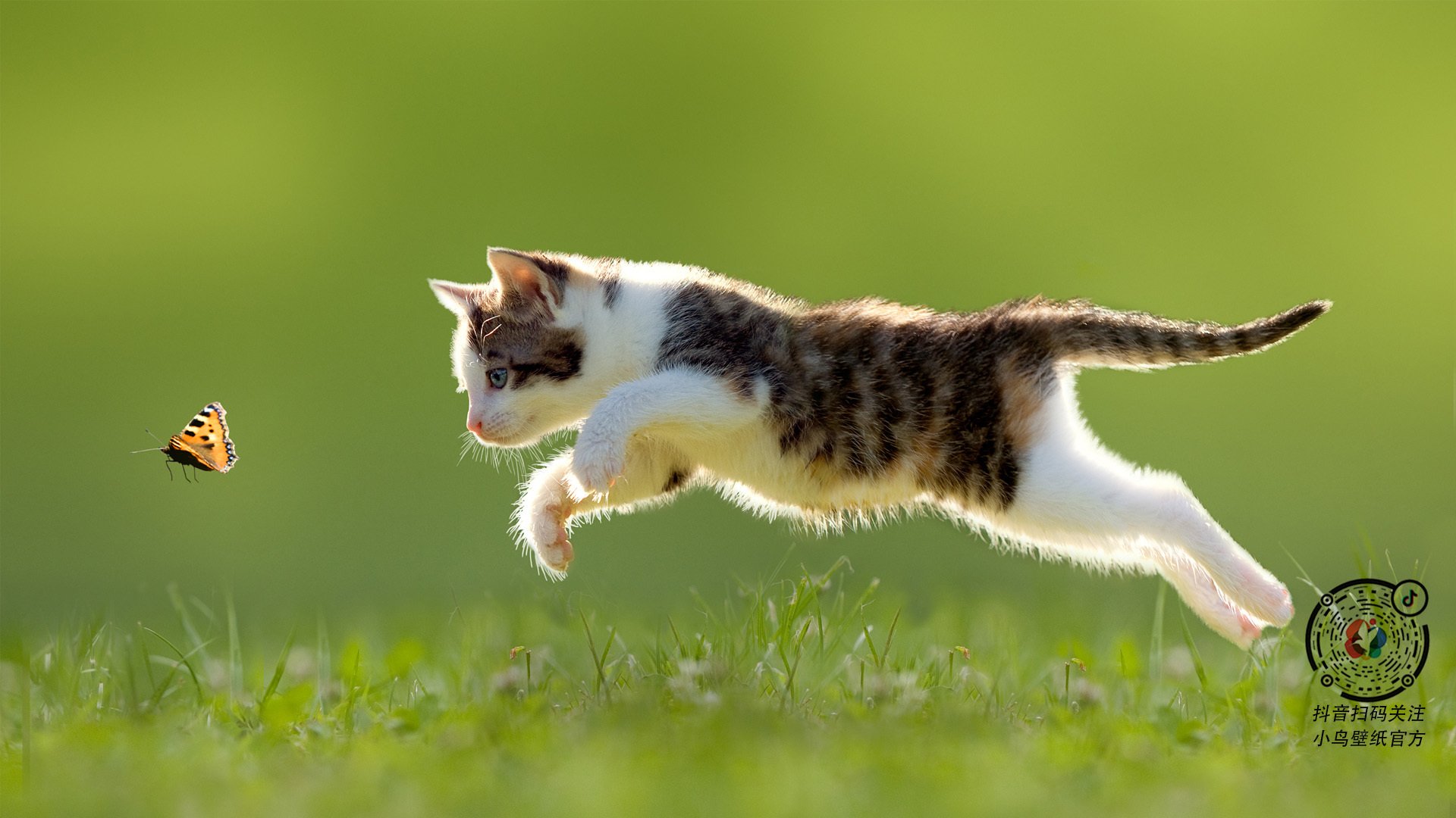 斯洛伐克男篮在欧洲大赛中持续努力，追求世界强队地位，斯洛伐克男篮实力