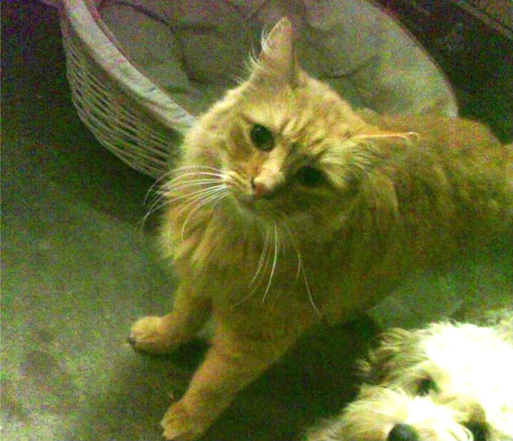 爱游戏平台-未来足球：智能场馆实现全面能源管理，绿色低碳新时代到来，智能场馆的策划