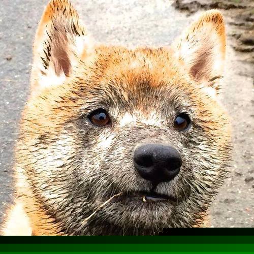 AIYOUXI.COM-篮球赛事票务系统升级保障观众便利，篮球比赛门票