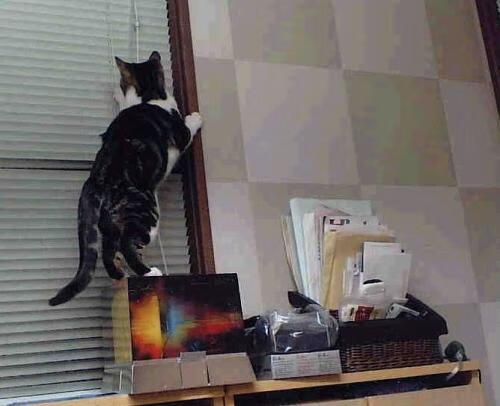 詹姆斯晒出训练照表示对新赛季充满期待，nba詹姆斯训练